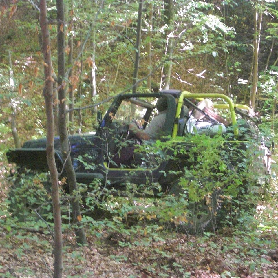 306.JPG