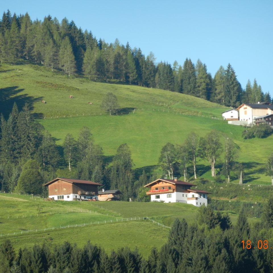 428.jpg