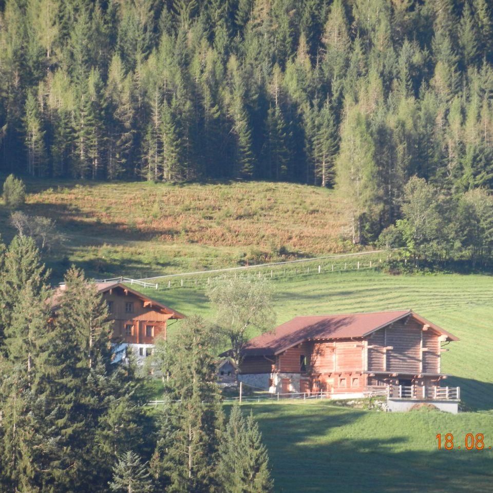 429.jpg
