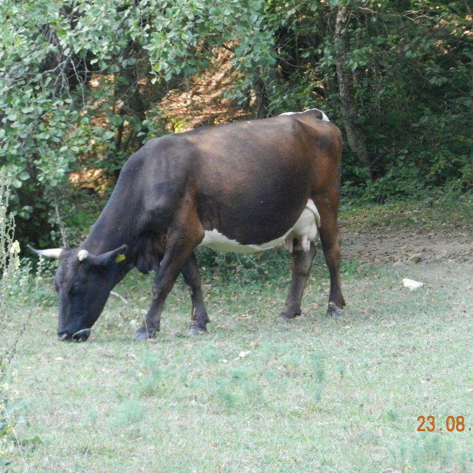 146.jpg