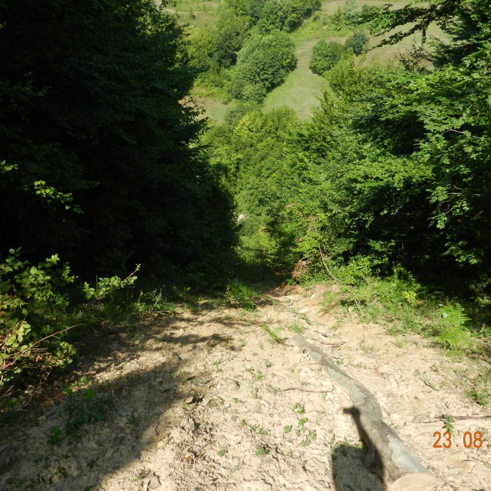 155.jpg