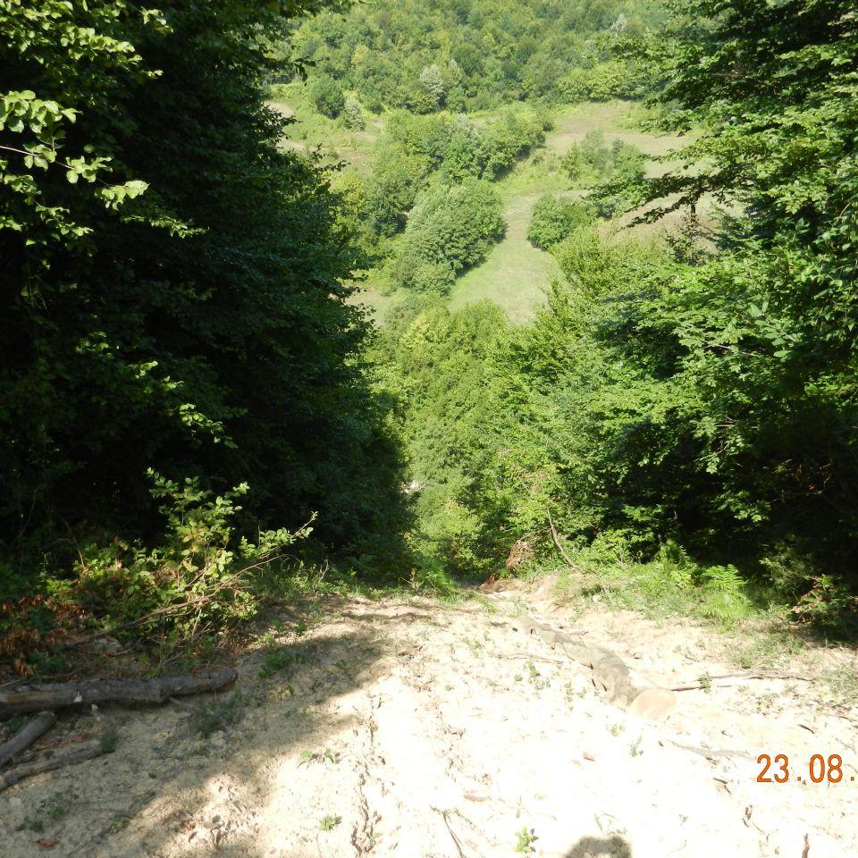156.jpg