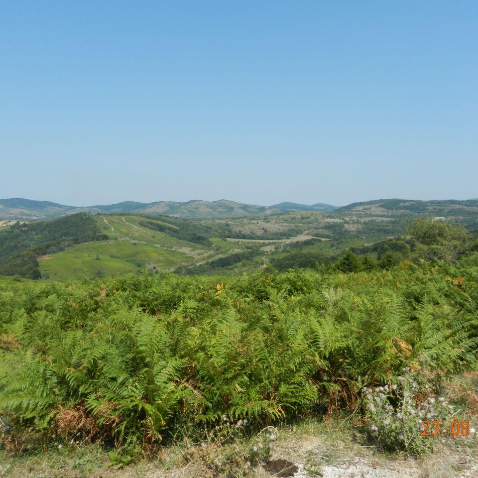 158.jpg