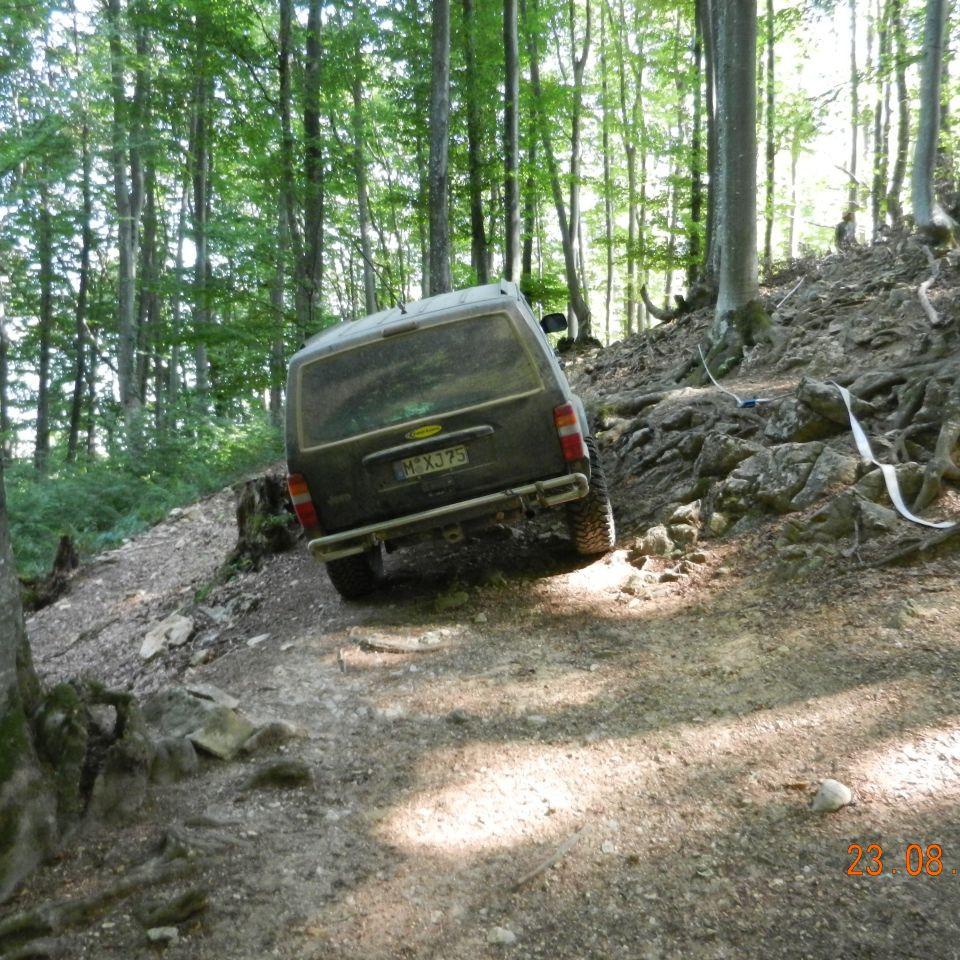175.jpg