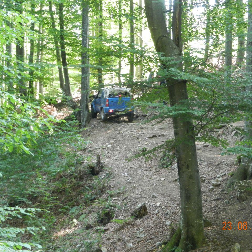 195.jpg