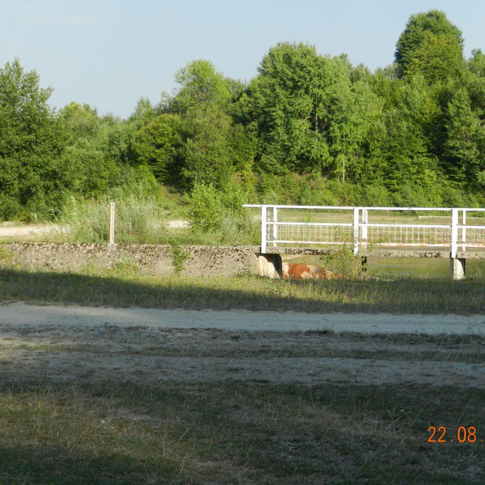 200.jpg
