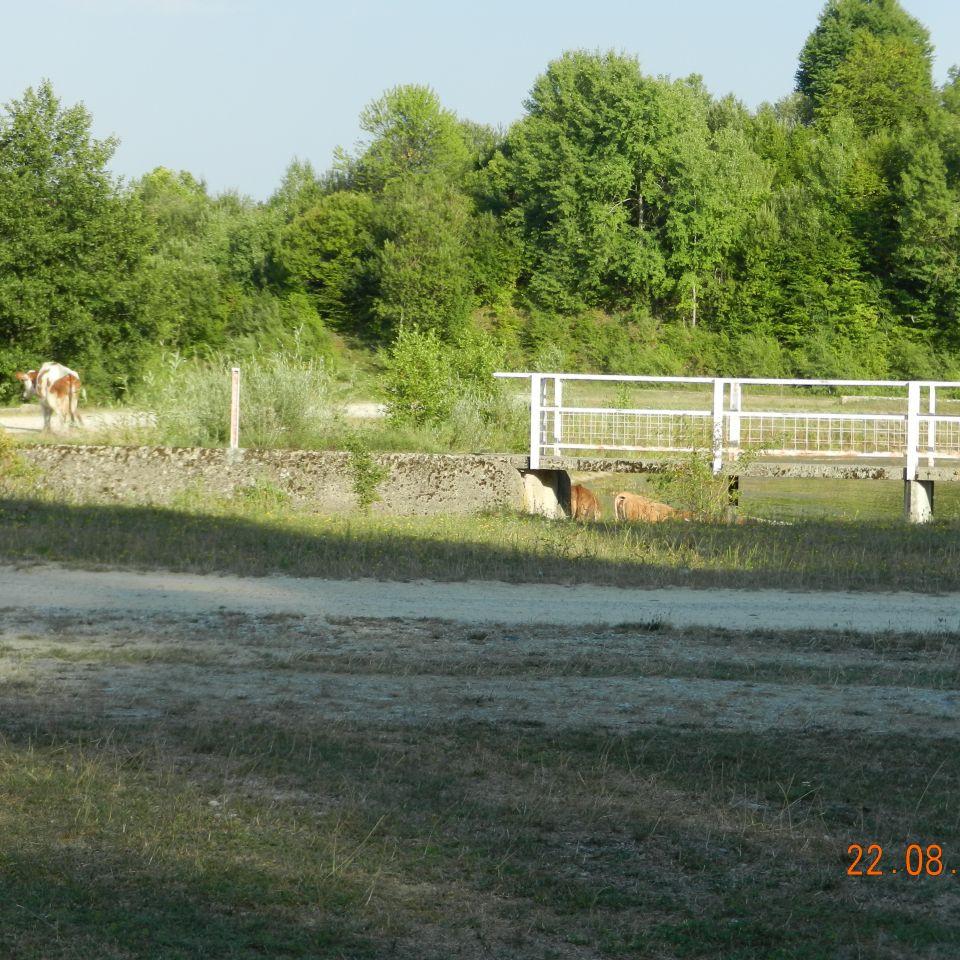 201.jpg