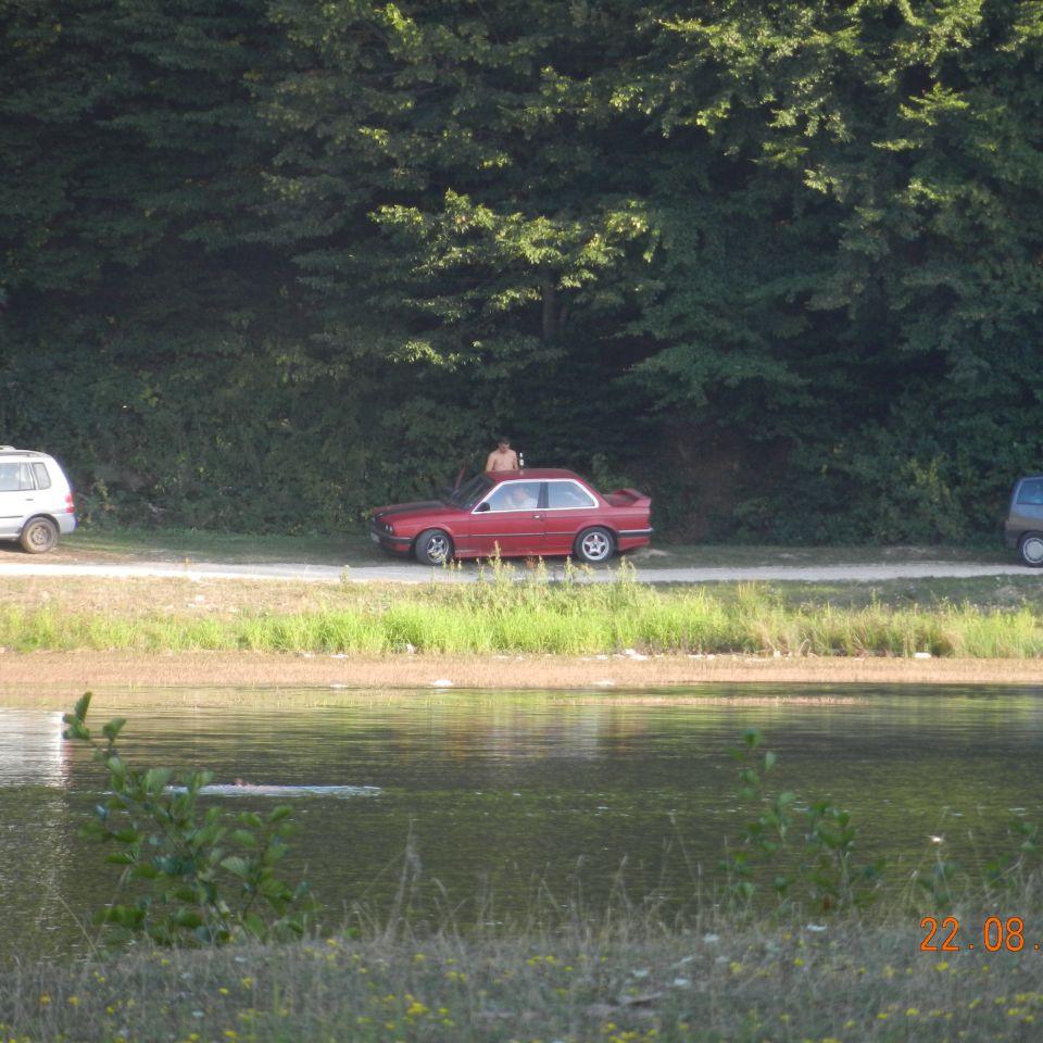 203.jpg