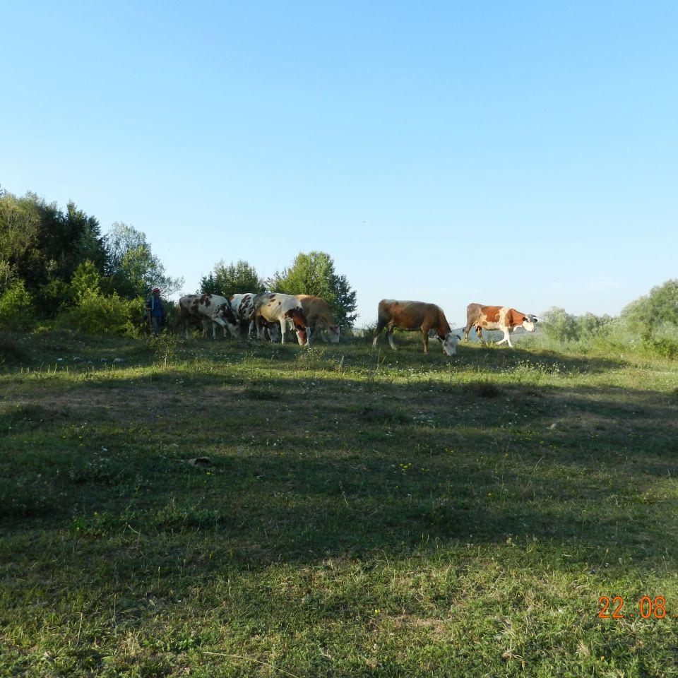 208.jpg