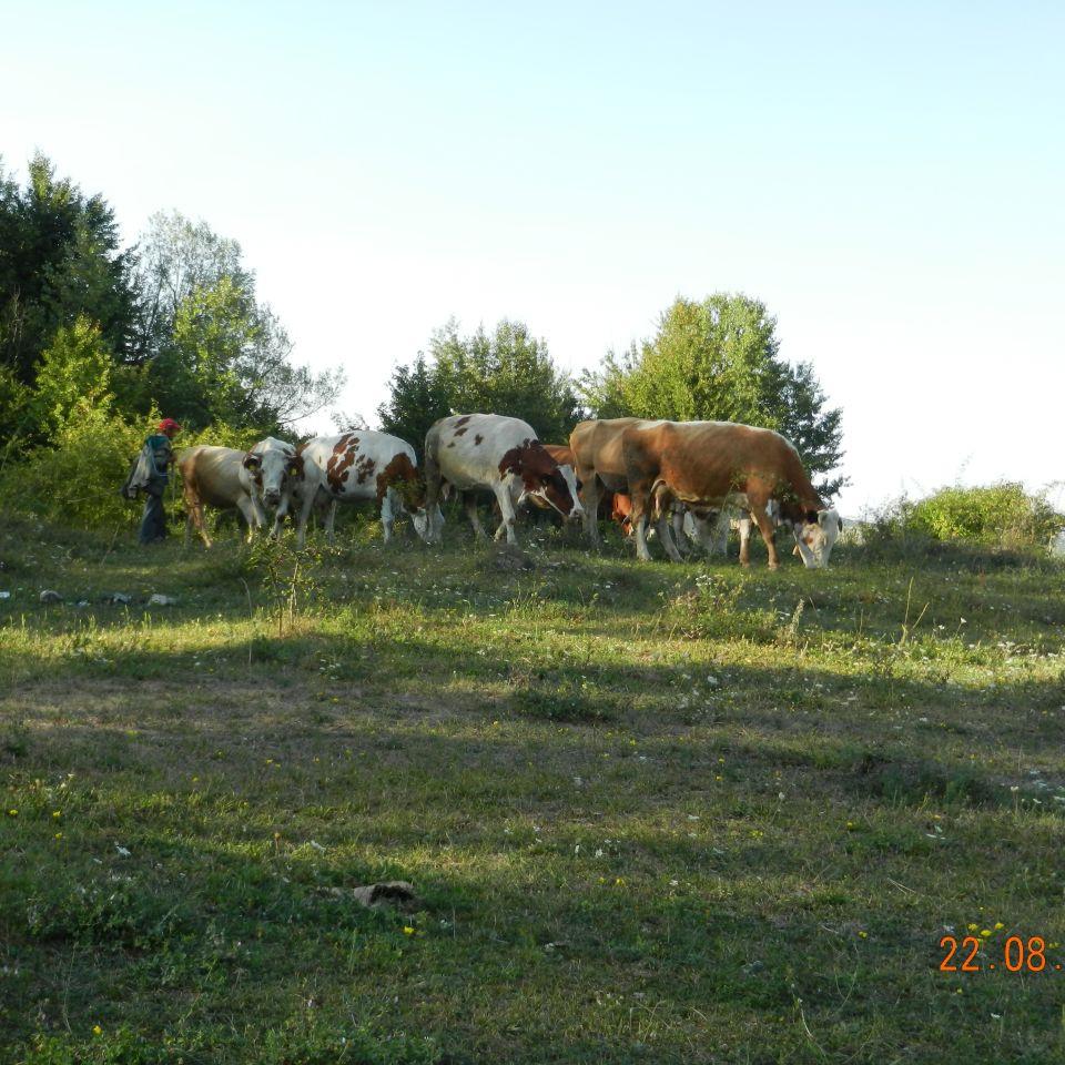 209.jpg