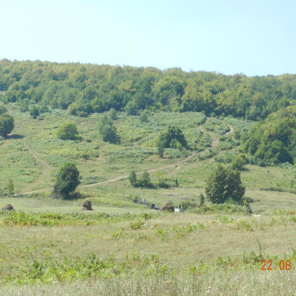 225.jpg