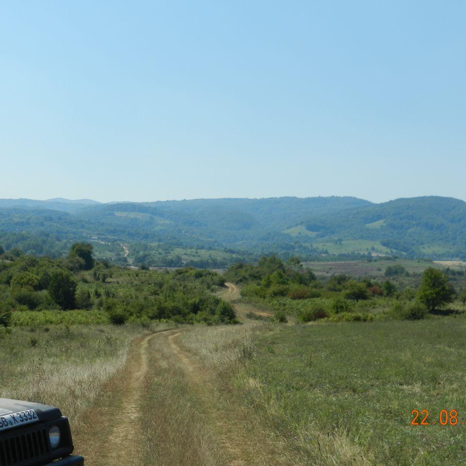 228.jpg