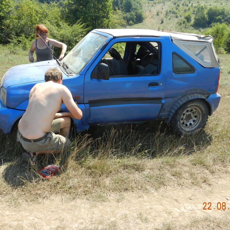 231.jpg
