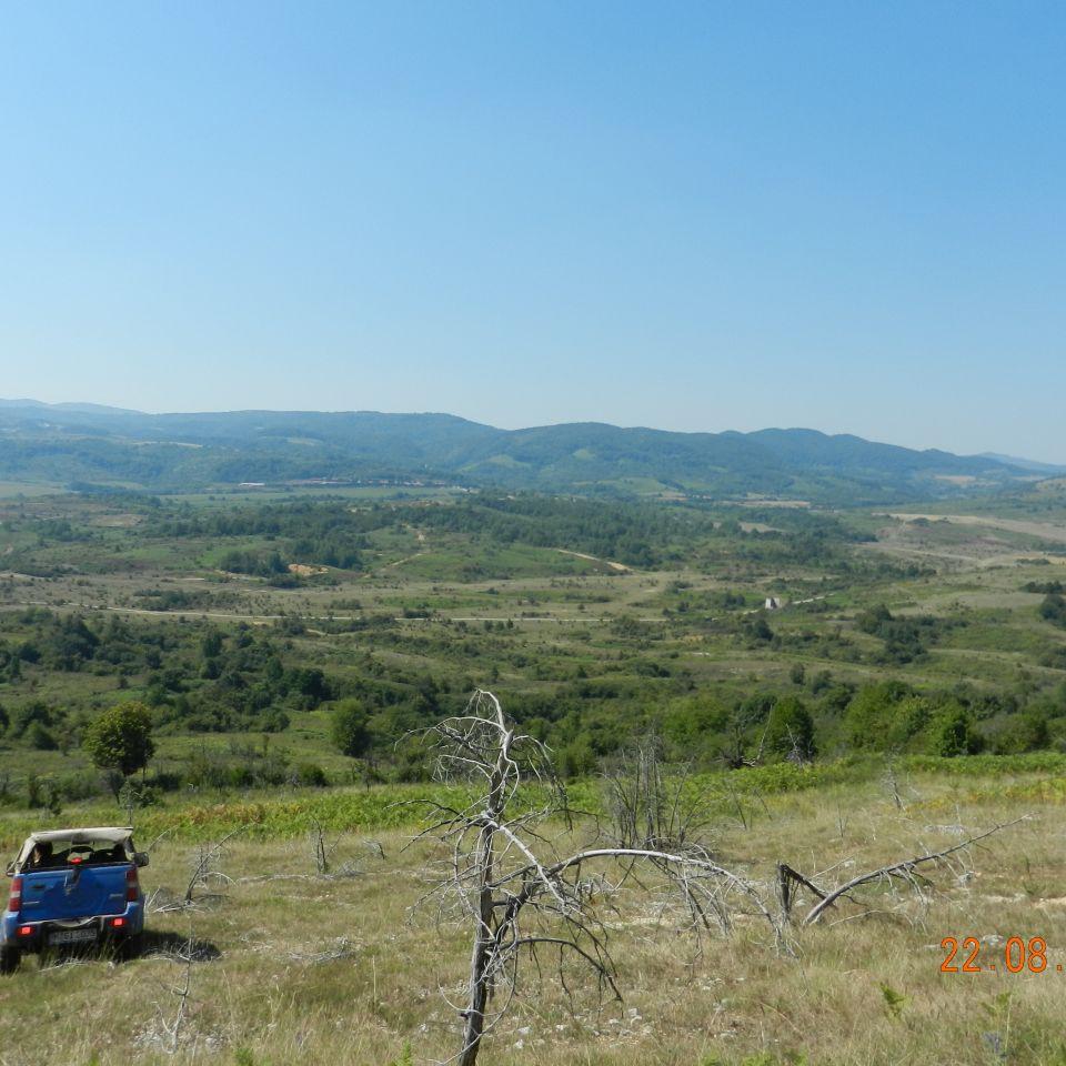 235.jpg