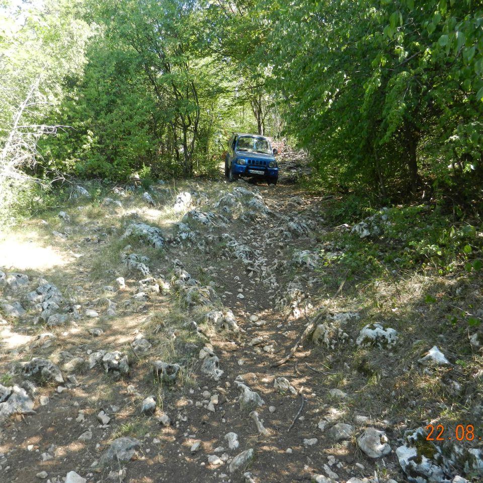 248.jpg