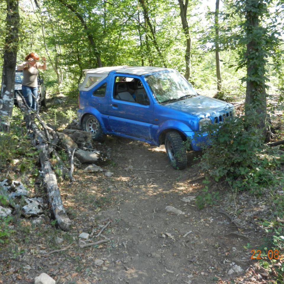 254.jpg