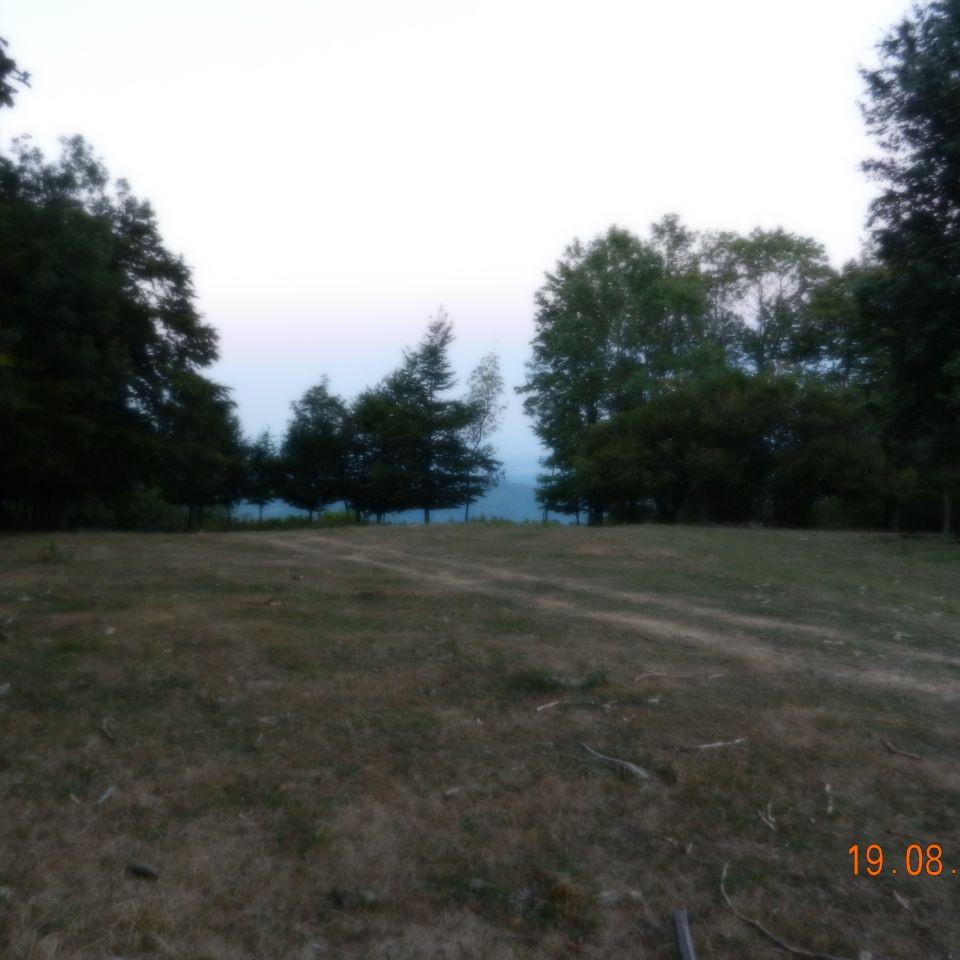 348.jpg