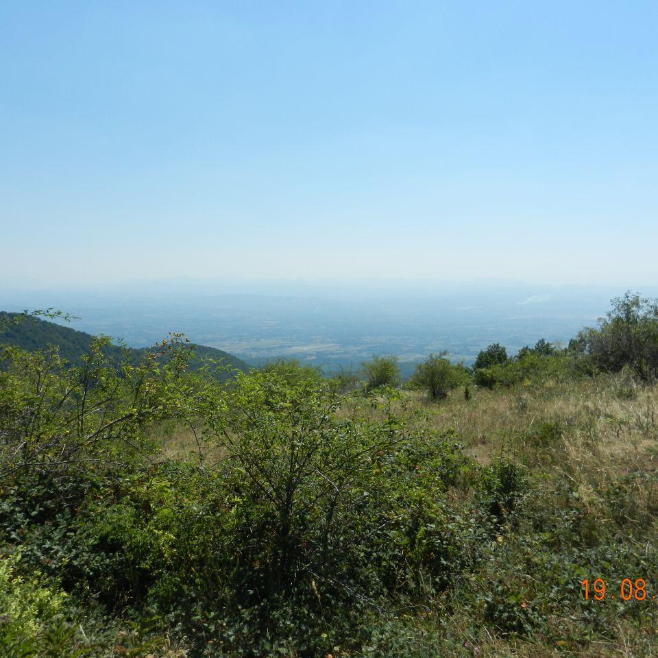 390.jpg