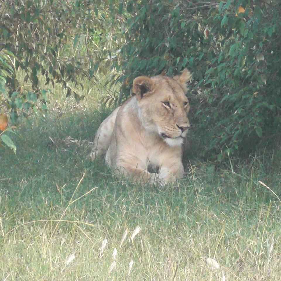 104.JPG