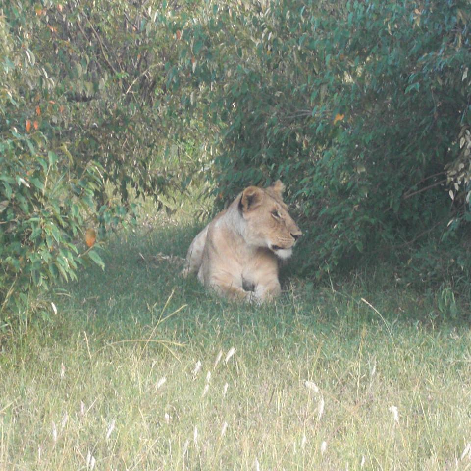 105.JPG