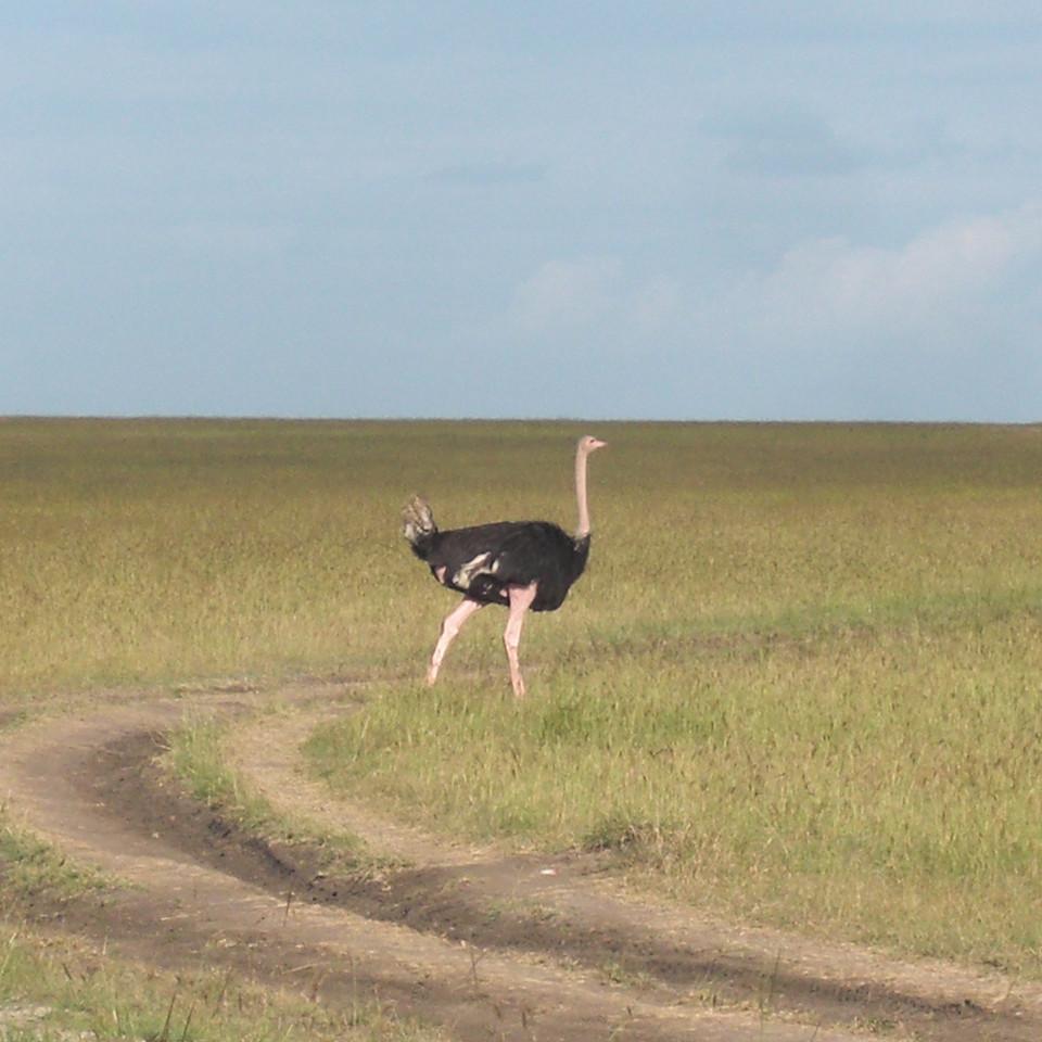 113.JPG