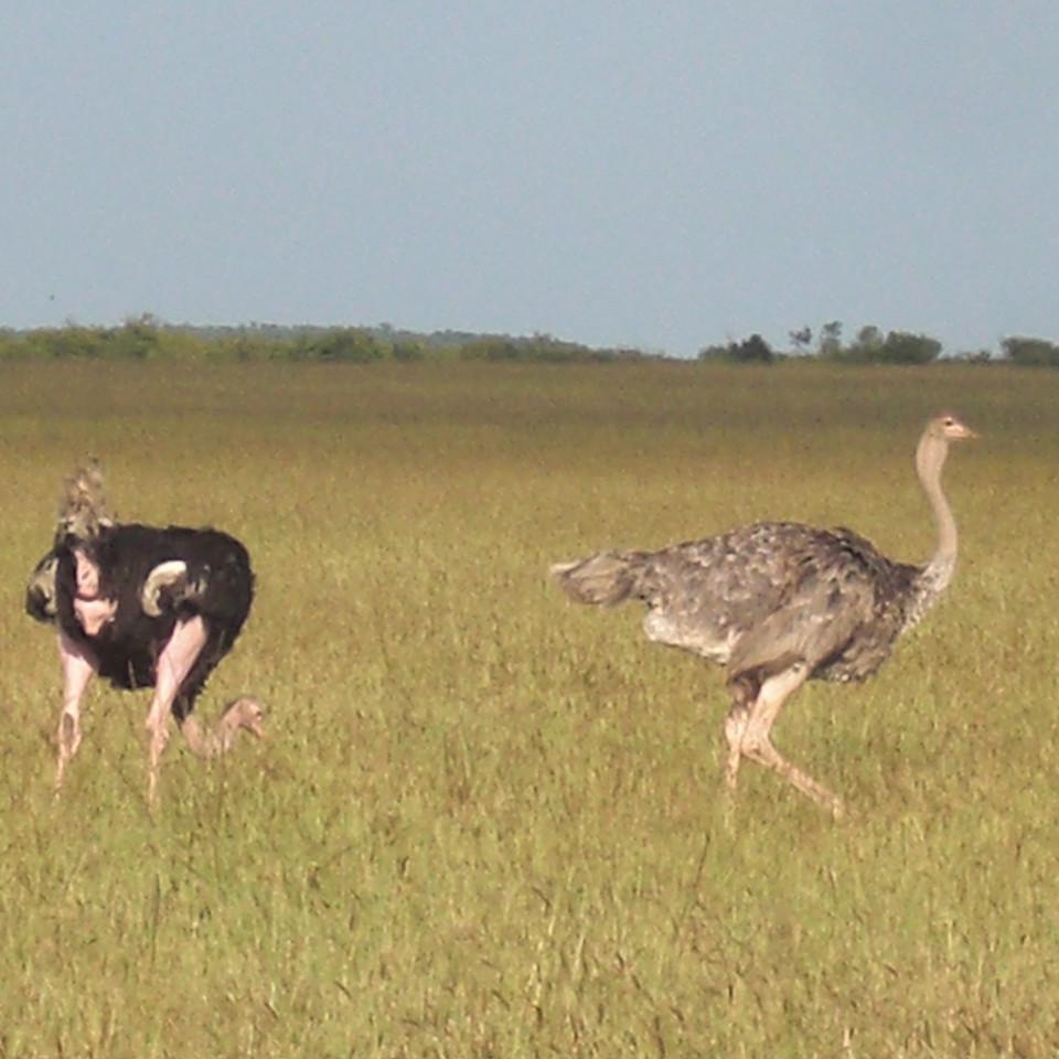 115.JPG