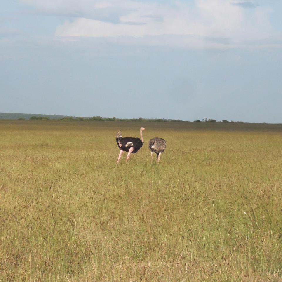 116.JPG