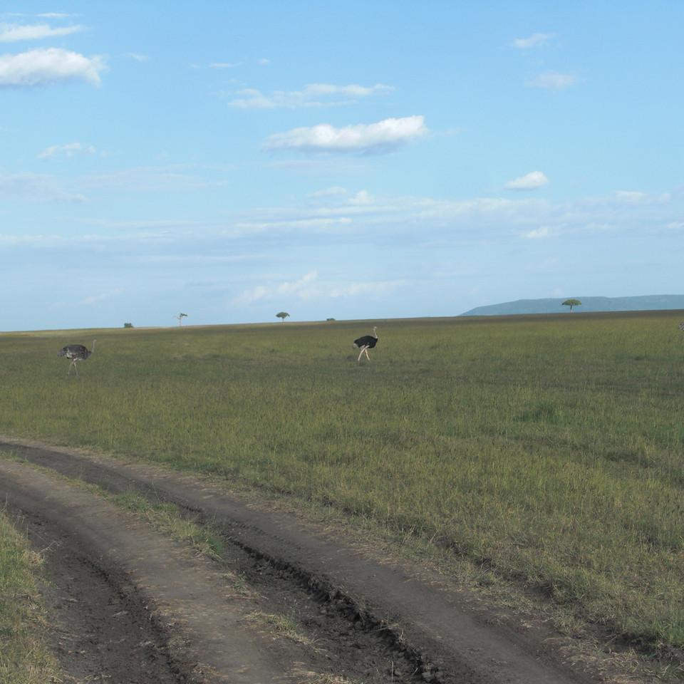 117.JPG