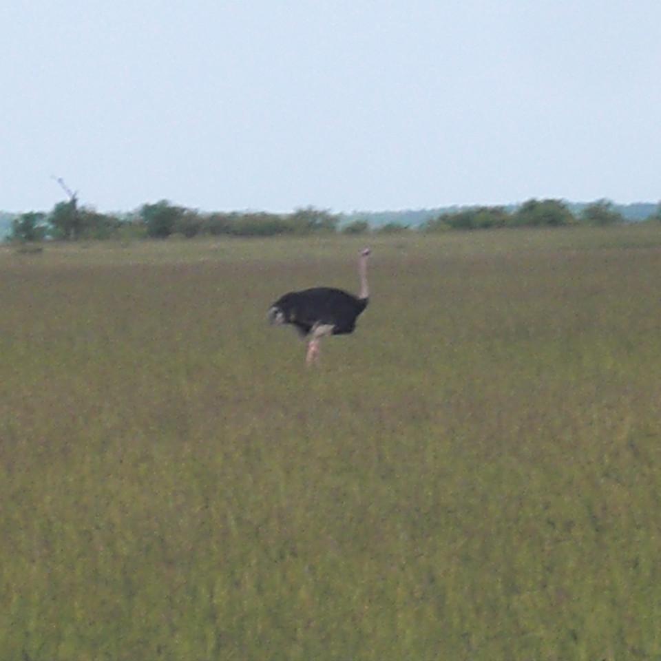 118.JPG