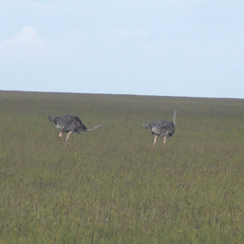 119.JPG