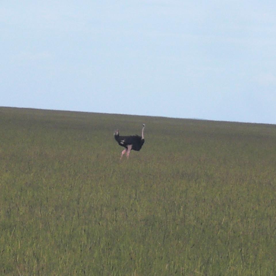 120.JPG