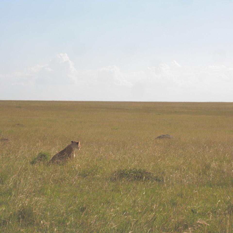 130.JPG