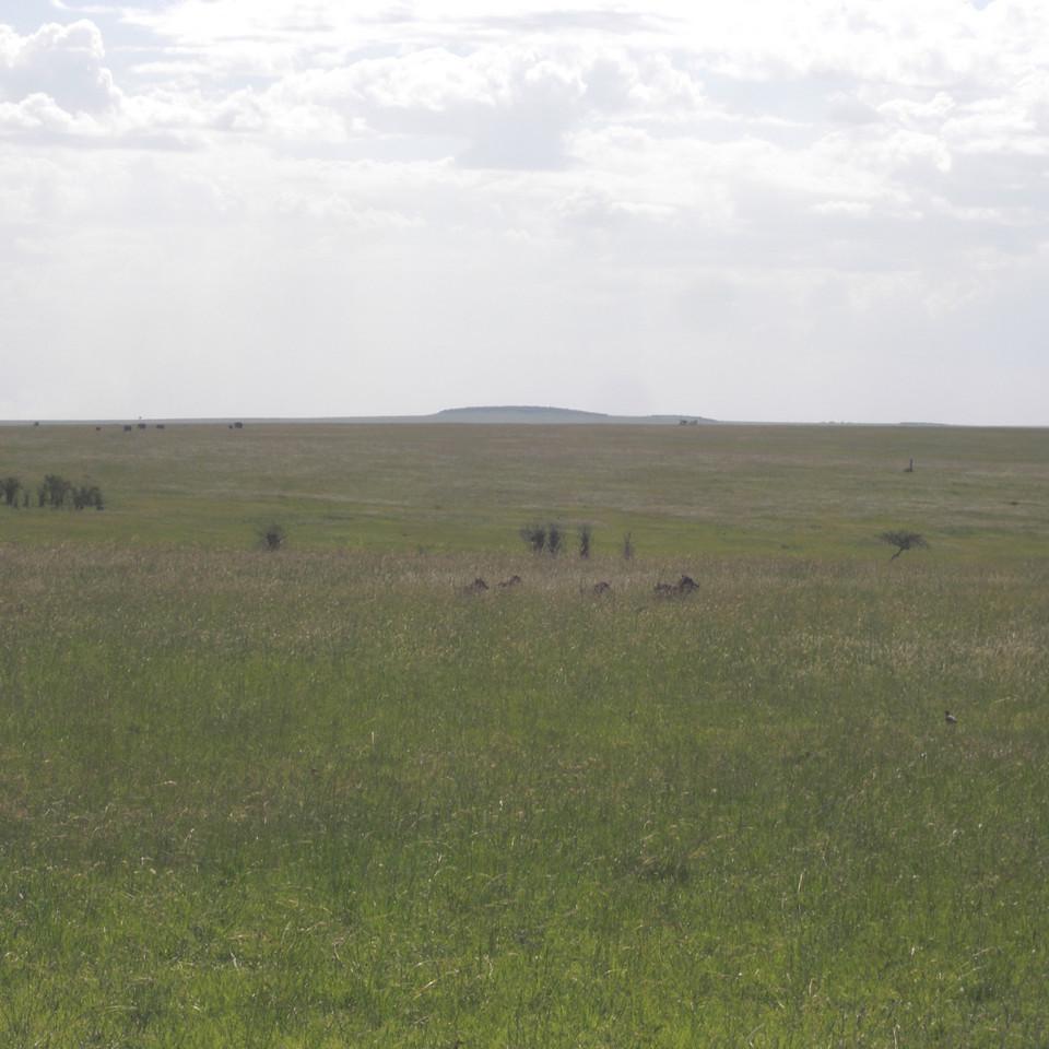 140.JPG