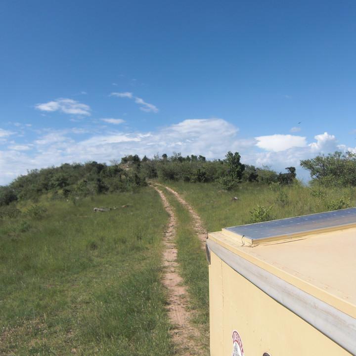141.JPG