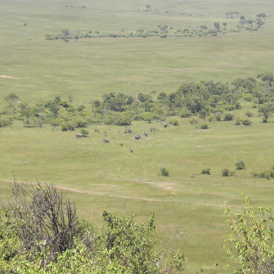 146.JPG
