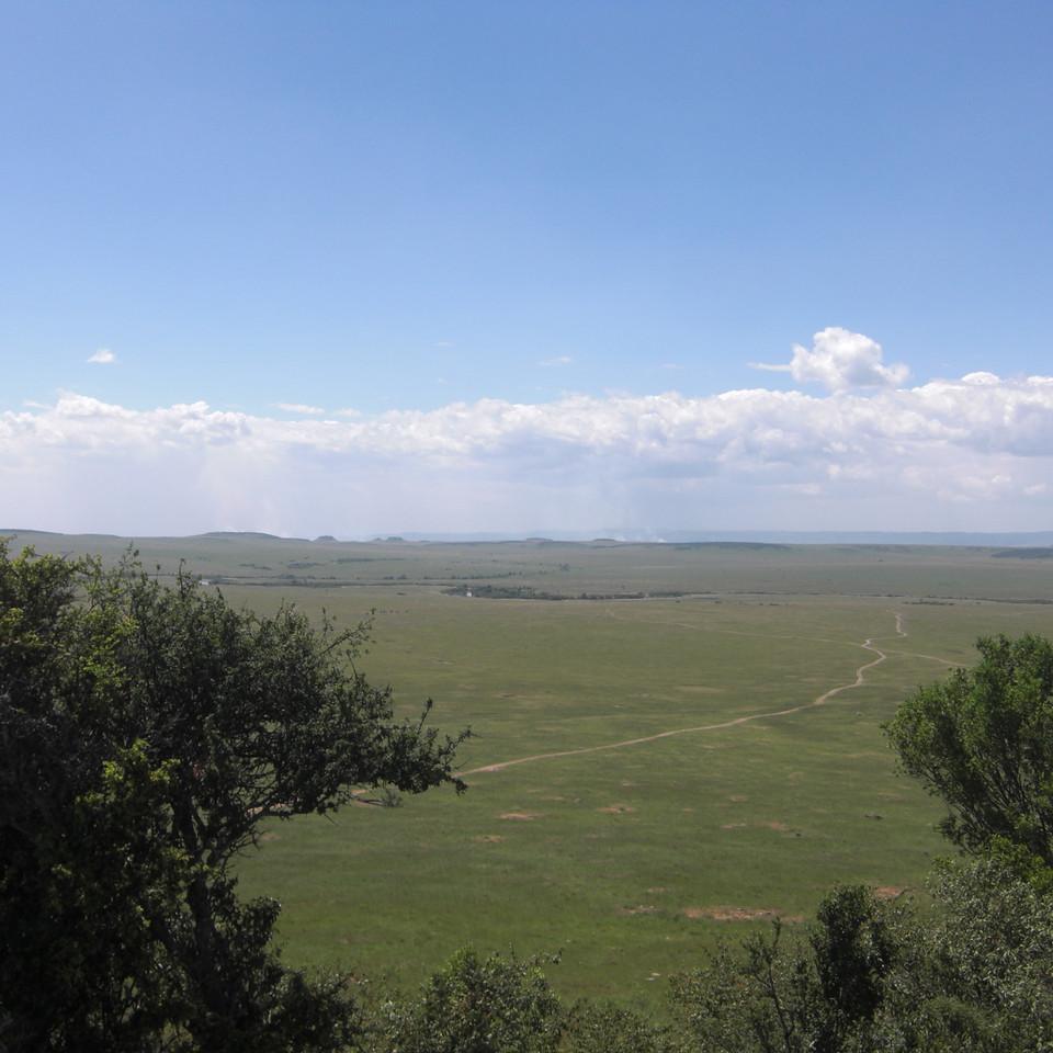 149.JPG