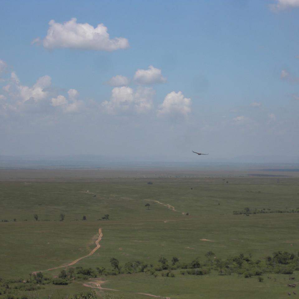 153.JPG