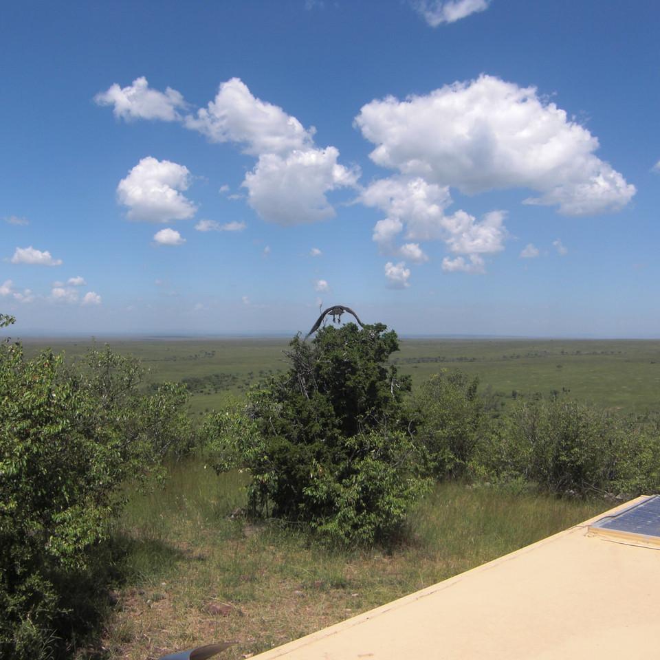 155.JPG