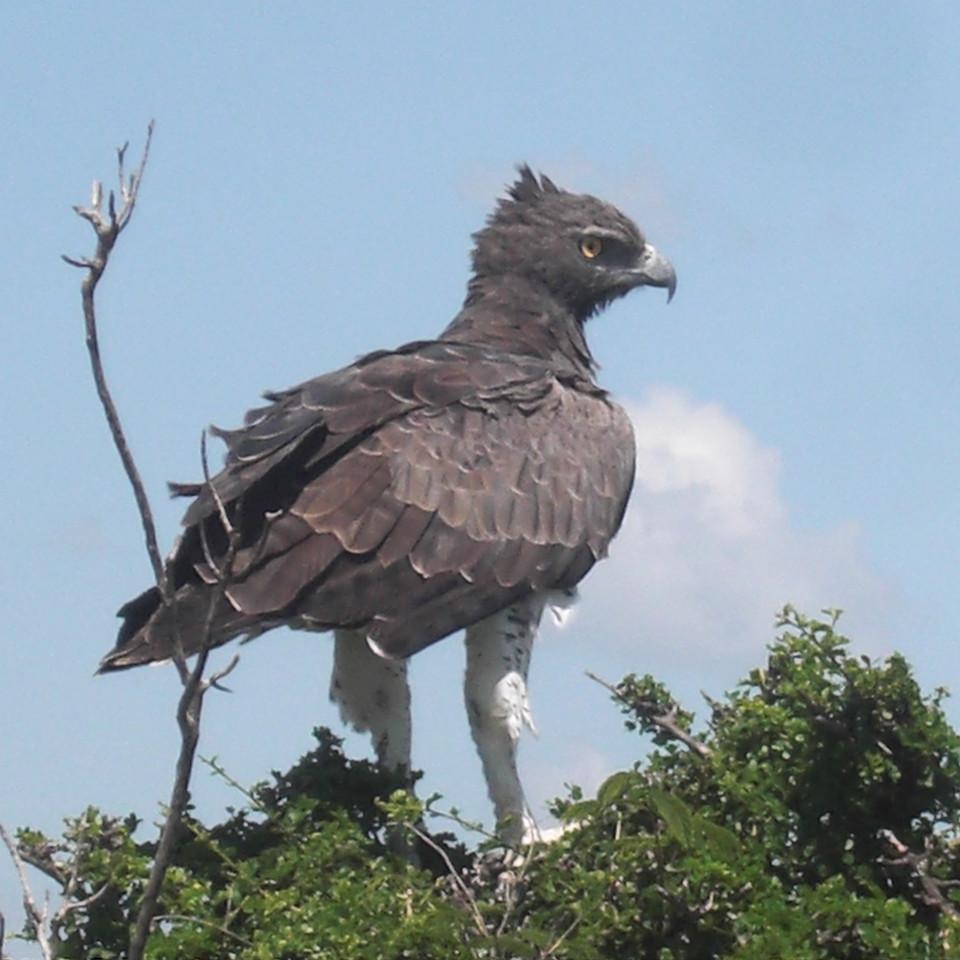 156.JPG