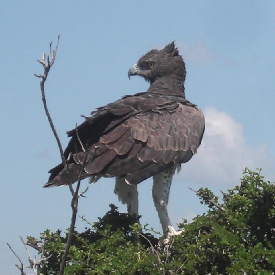 157.JPG