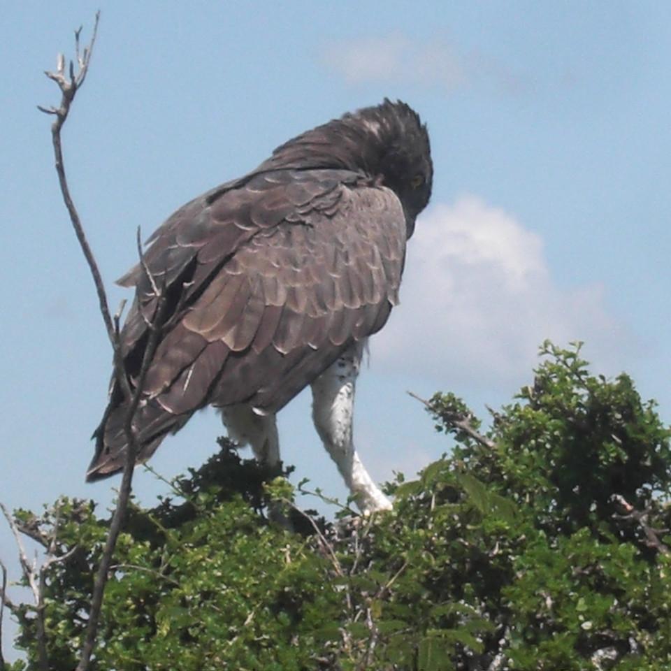 158.JPG