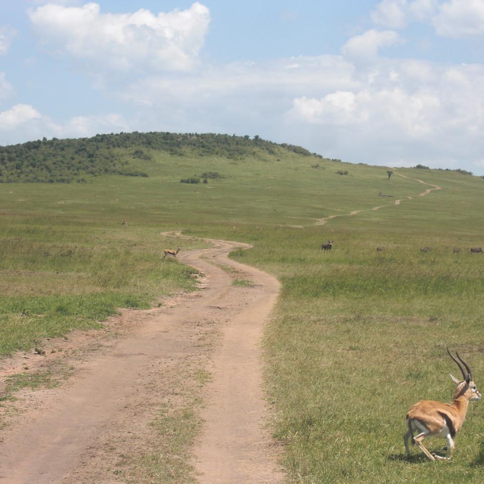 166.JPG