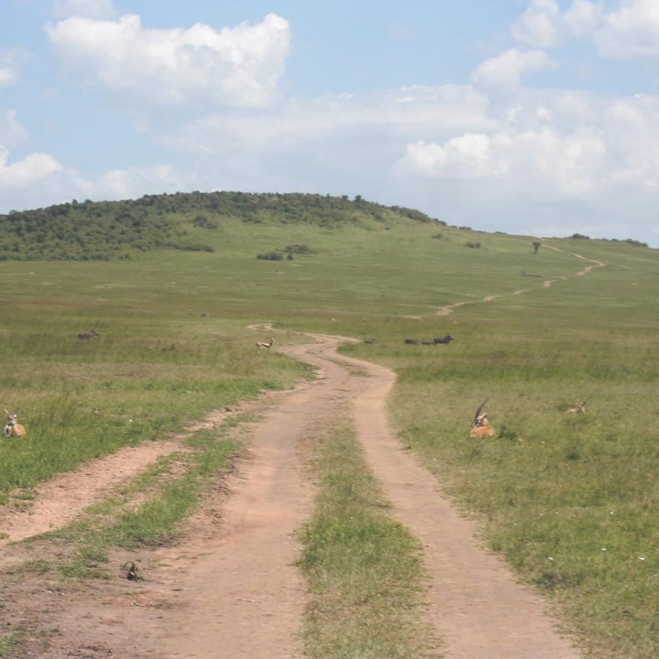 167.JPG