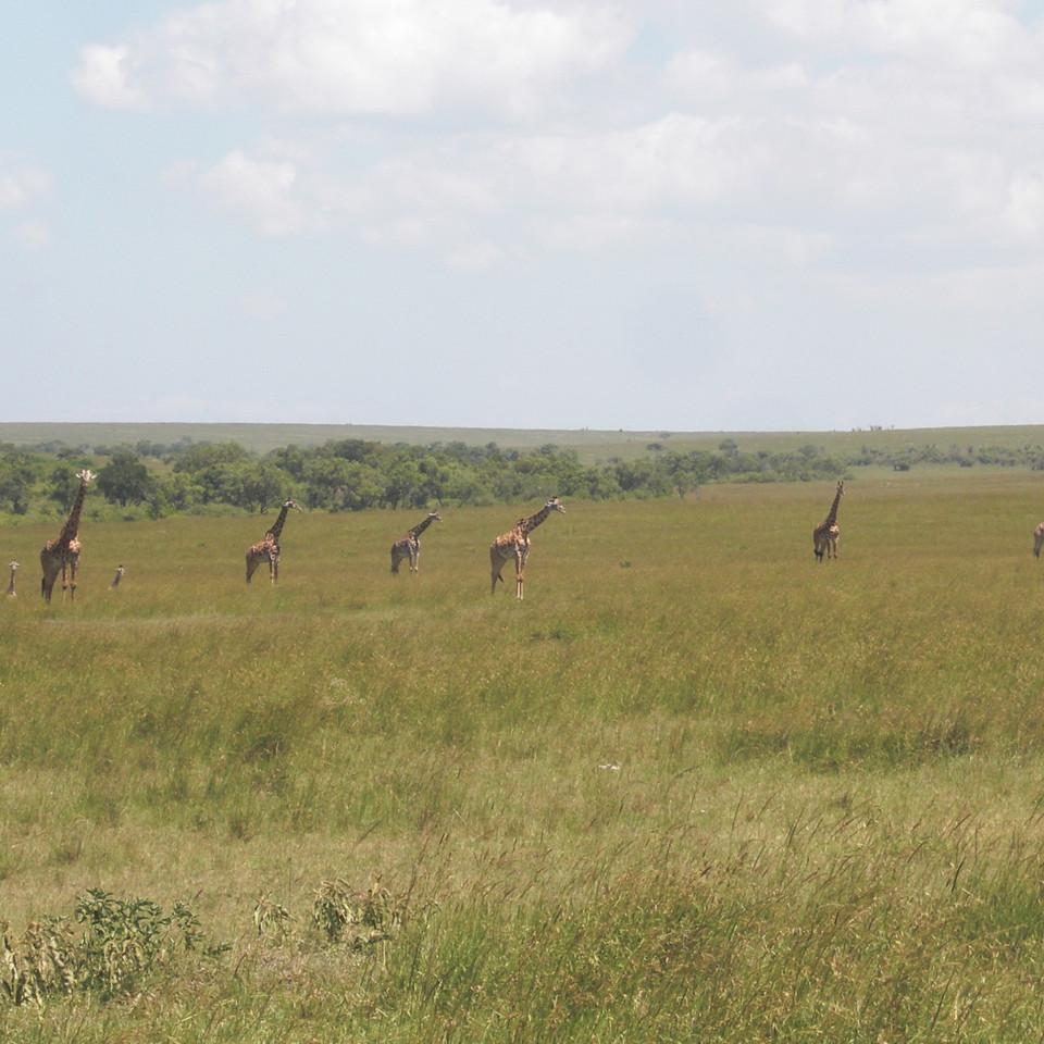 173.JPG