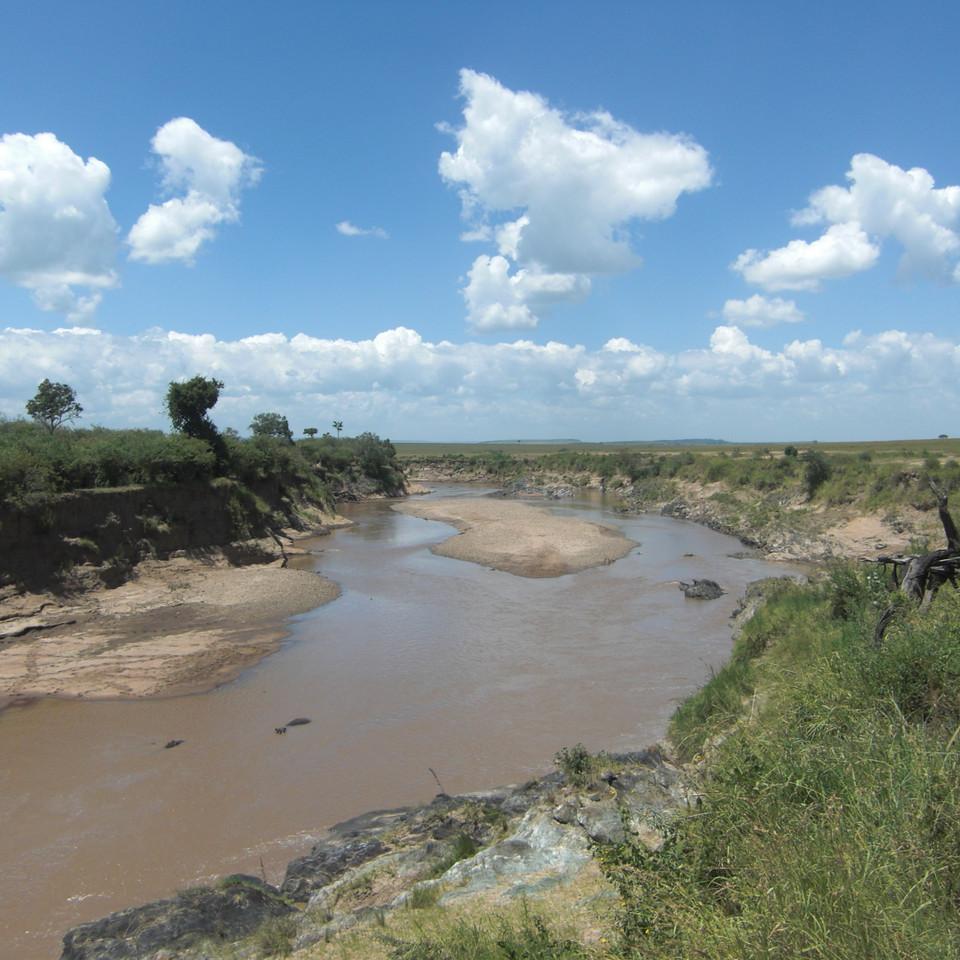 184.JPG