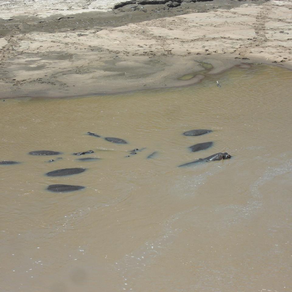 188.JPG