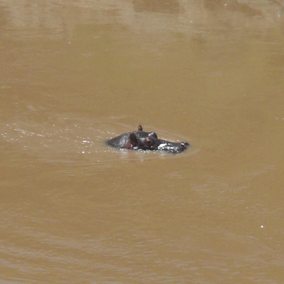 192.JPG