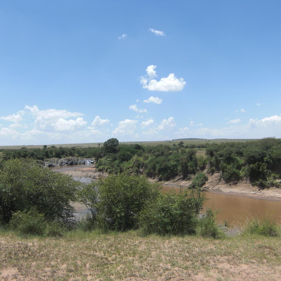 197.JPG