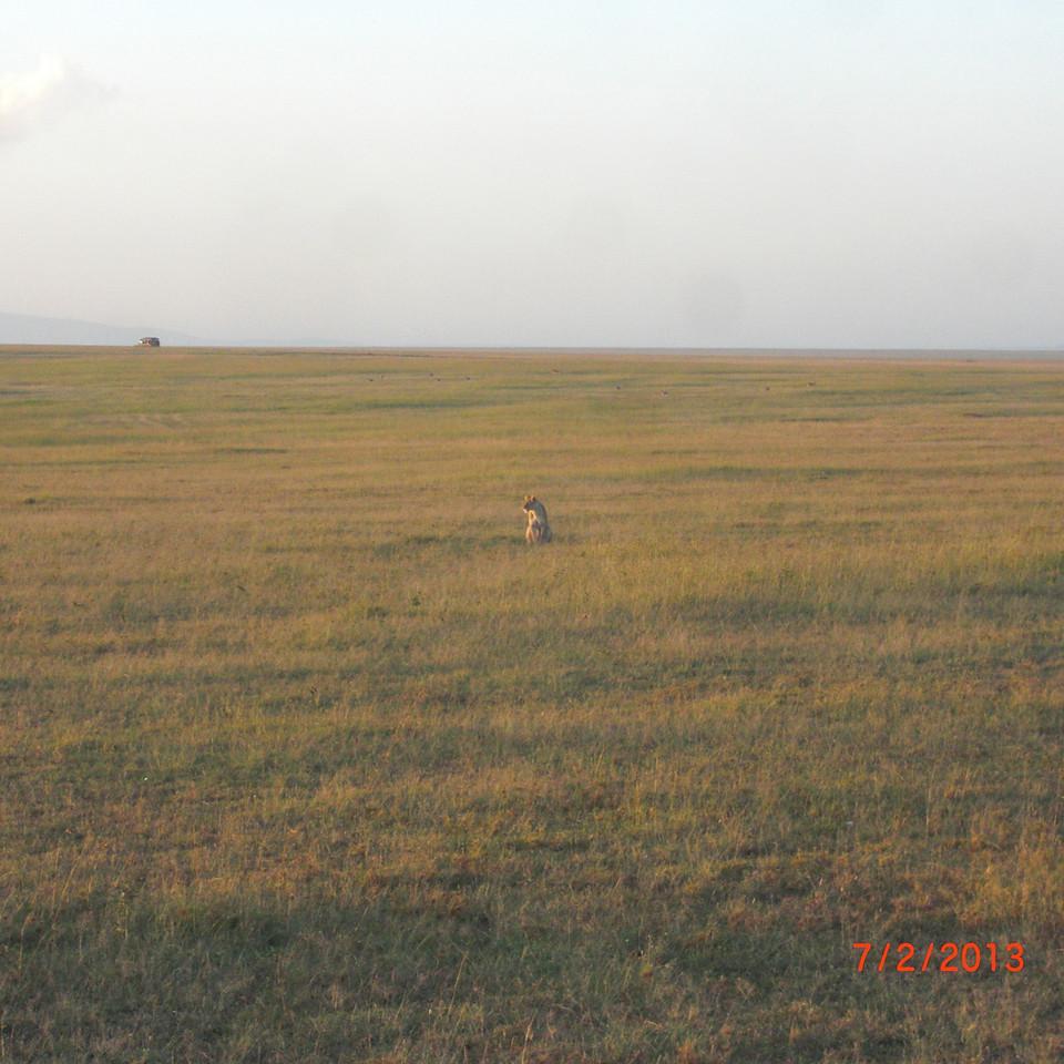 259.JPG