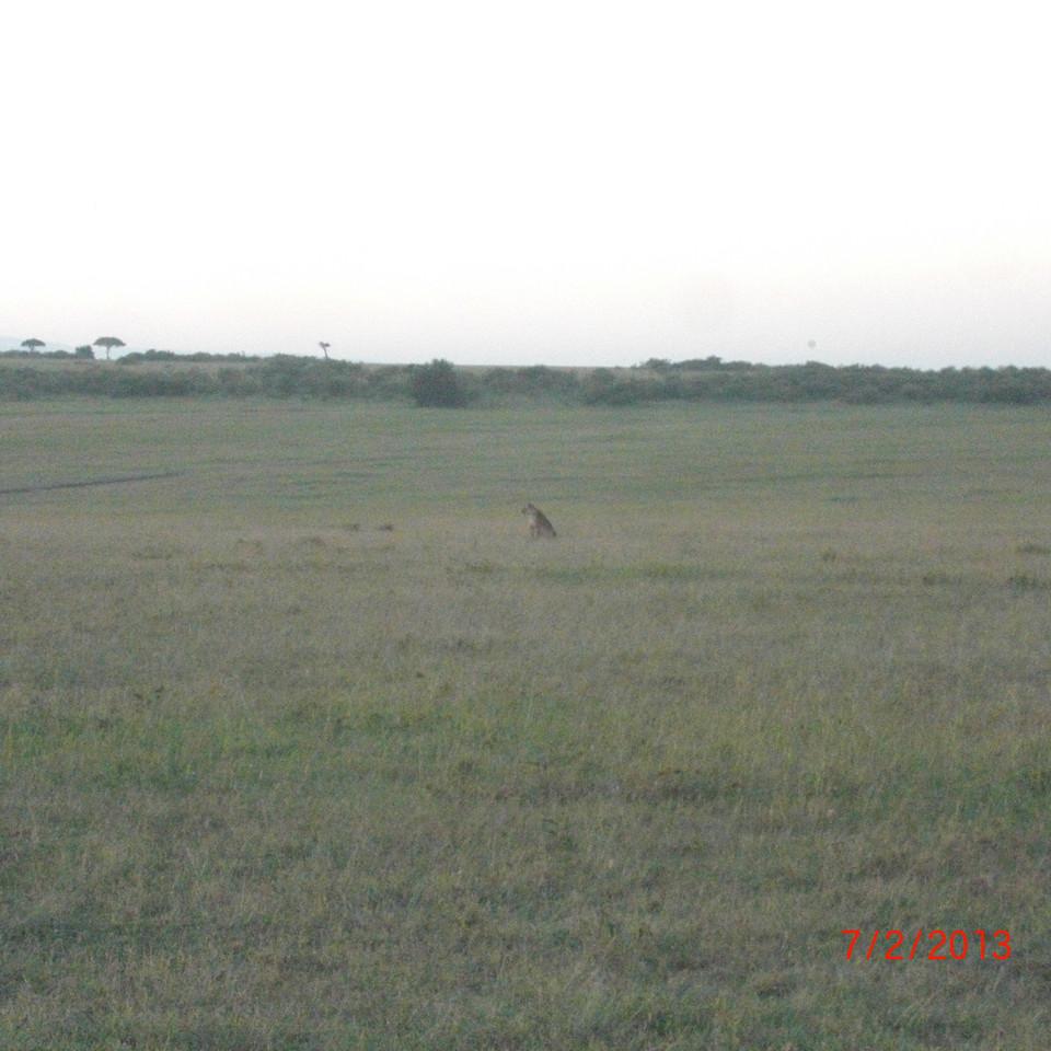 261.JPG